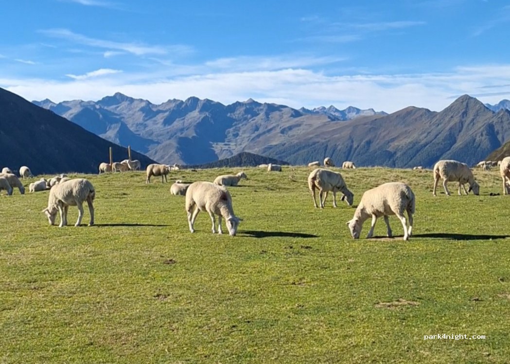 (65100) Gazost - Naouit — foto 4