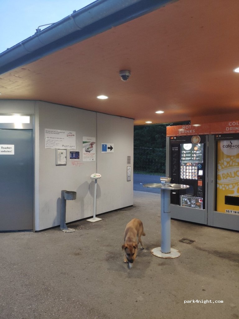 (4882) Traschwandt - 33 Traschwandt — foto 2