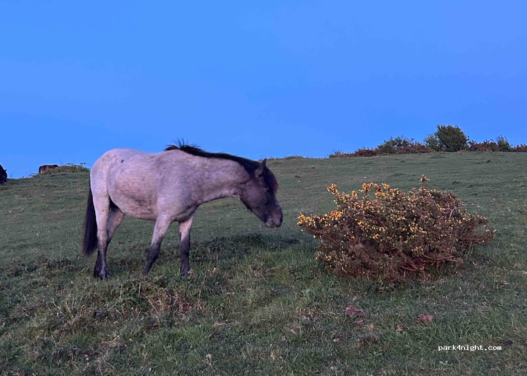 (BN14 0SQ) Worthing - Unnamed Road — foto 3