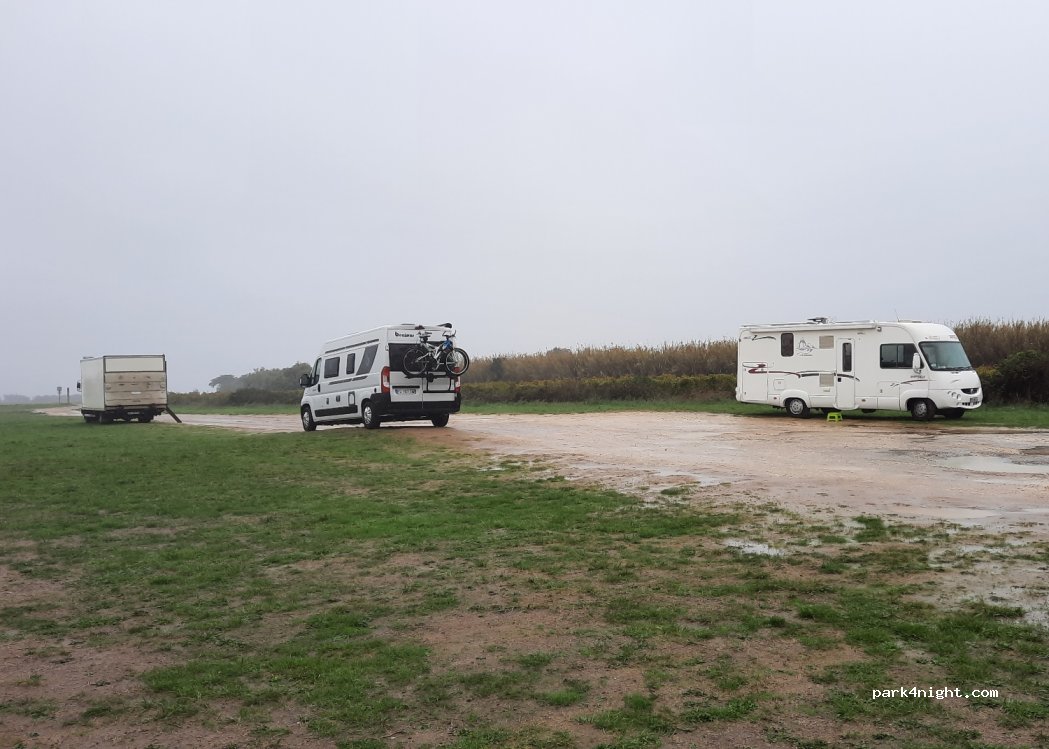 (17650) Saint-Denis-d'Oléron - 11 Cd N 734 — foto