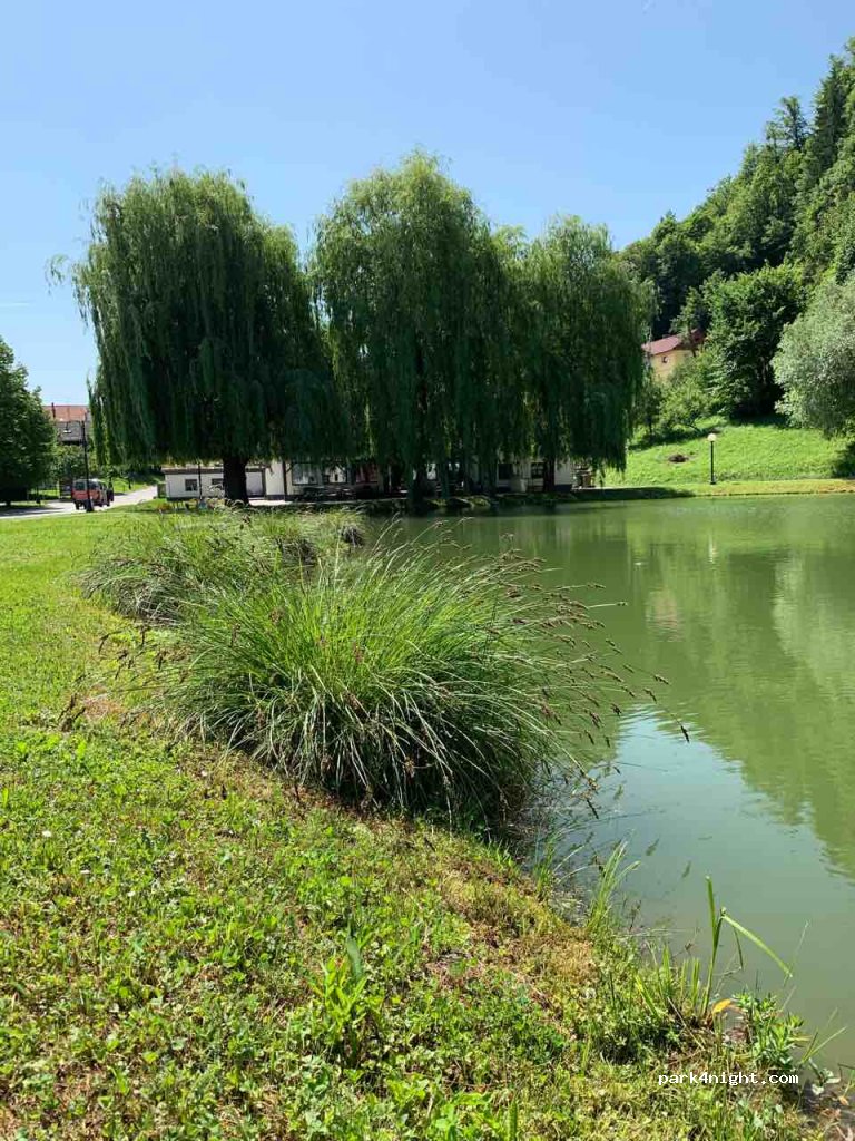 (3260) Občina Kozje - 50 Kozje — foto