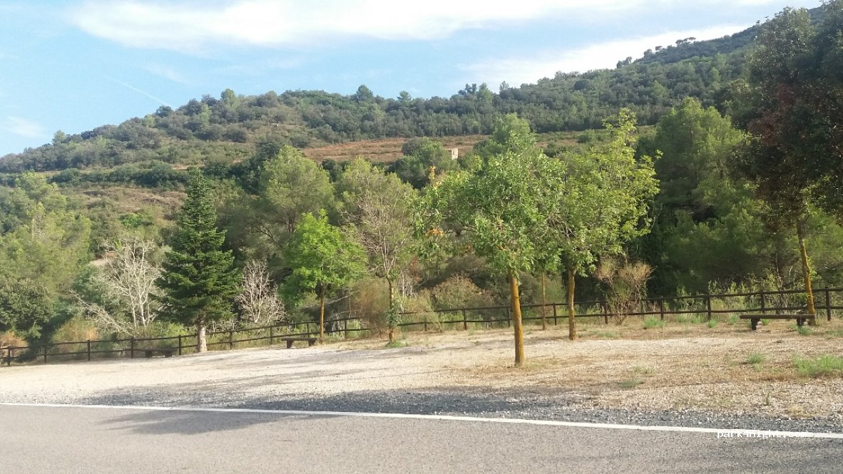 (43470) La Selva del Campo - TP-7013 — foto 2
