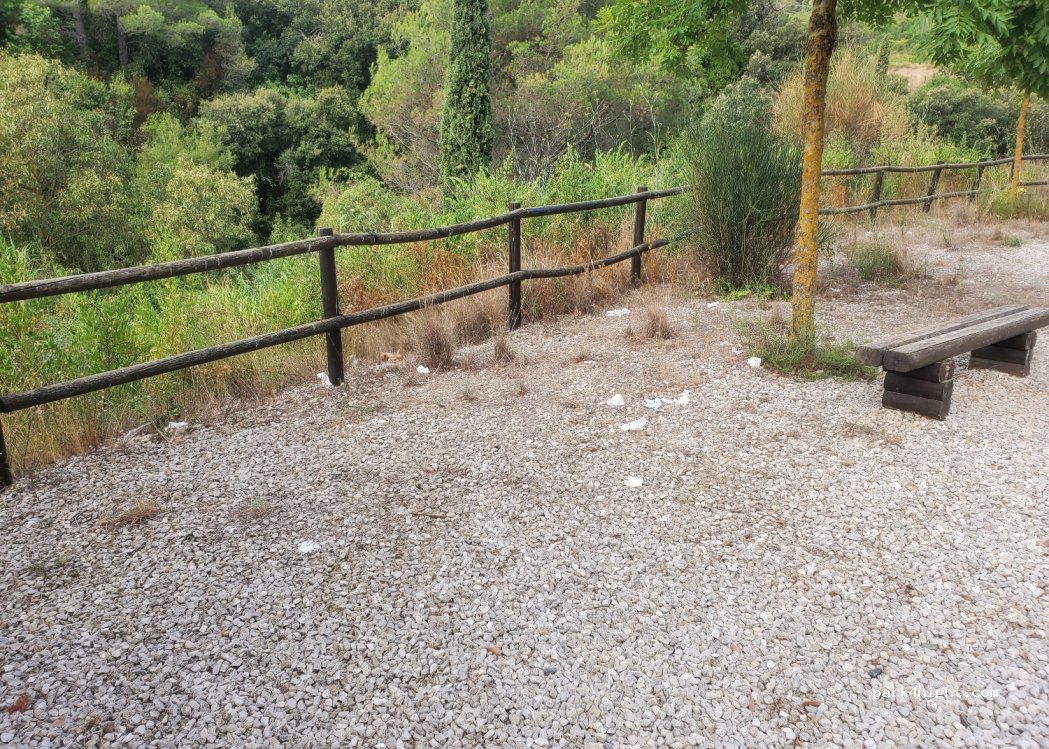 (43470) La Selva del Campo - TP-7013 — foto 3