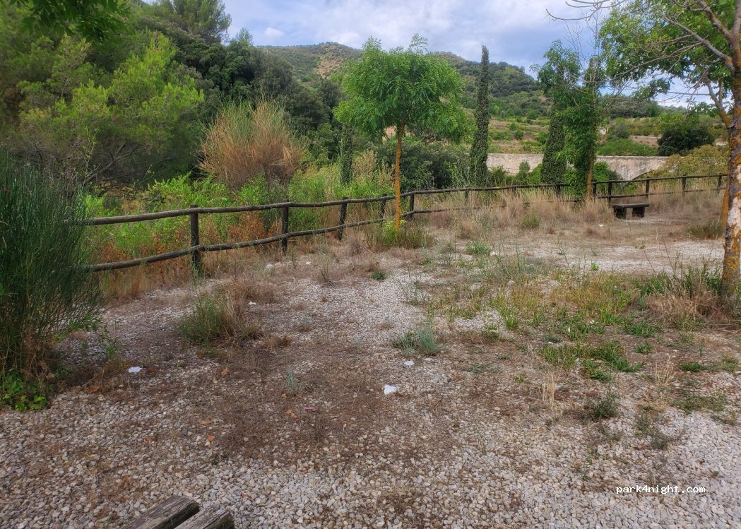 (43470) La Selva del Campo - TP-7013 — foto 4