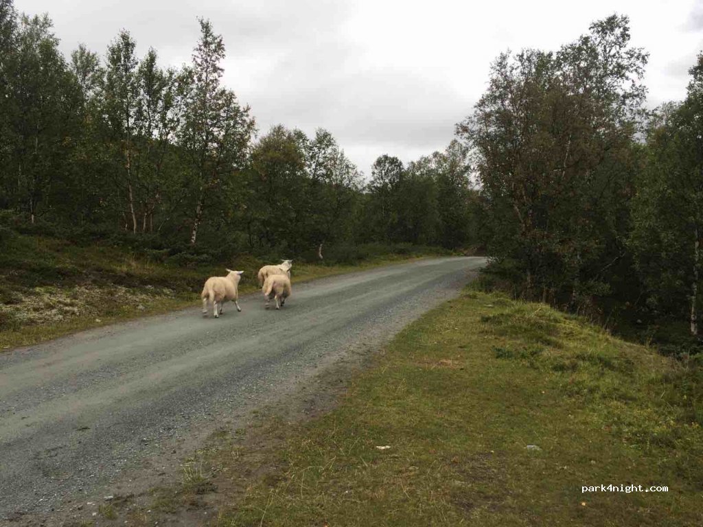 (7340)  - Unnamed Road — foto 2
