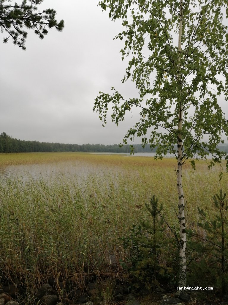 (19650) Hartola, Joutsa - 60 Lotakonlahdentie — foto 3