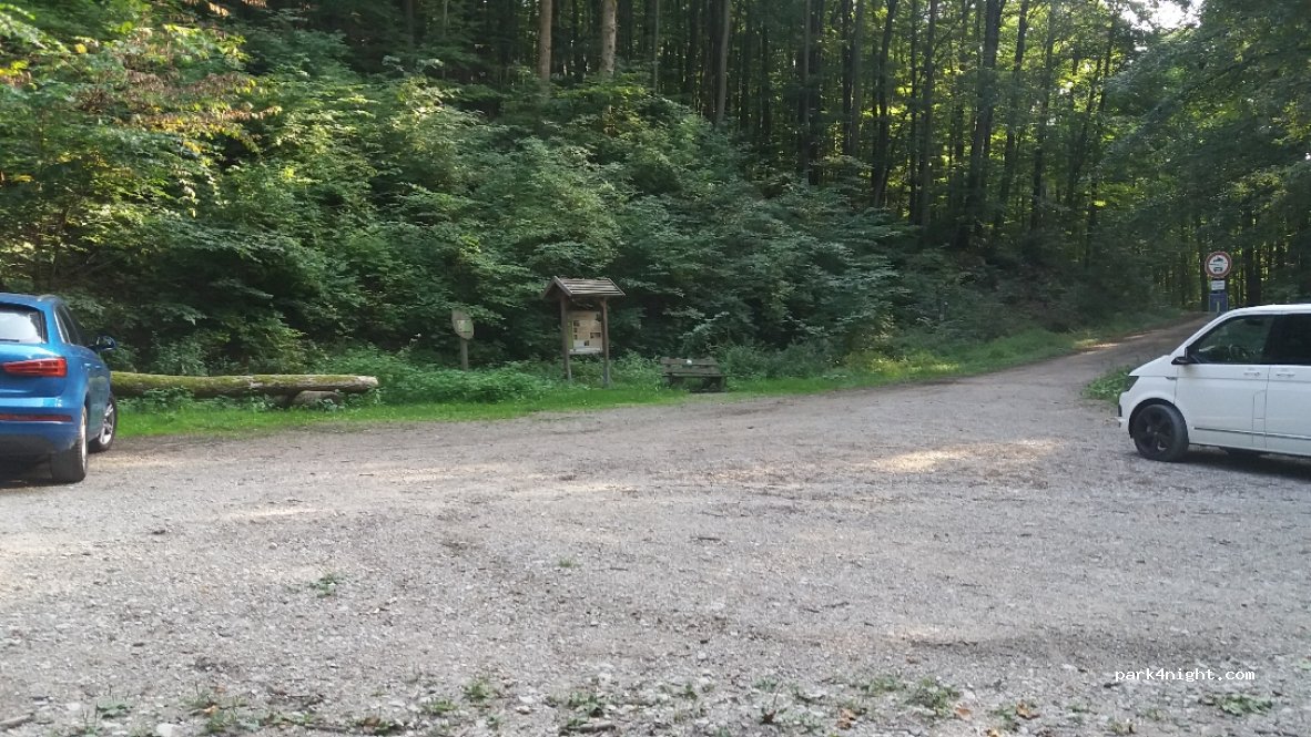(96123) Geisberger Forst - Unnamed Road — foto