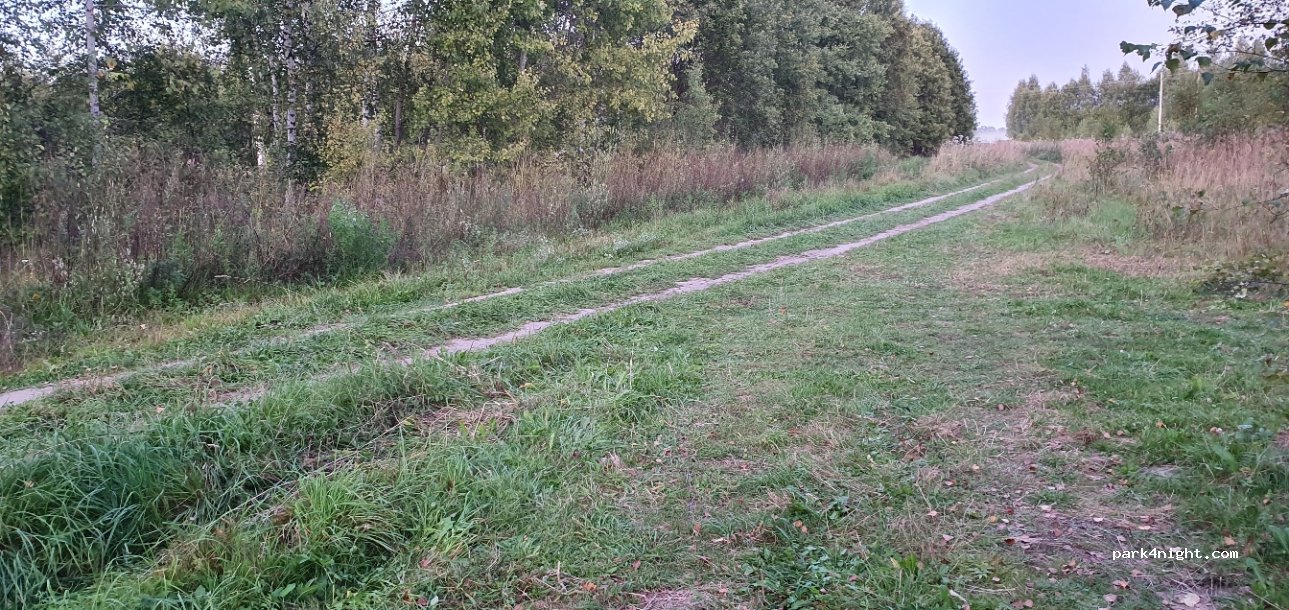 (172062) Vladenino, Tver Oblast - Unnamed Road — foto