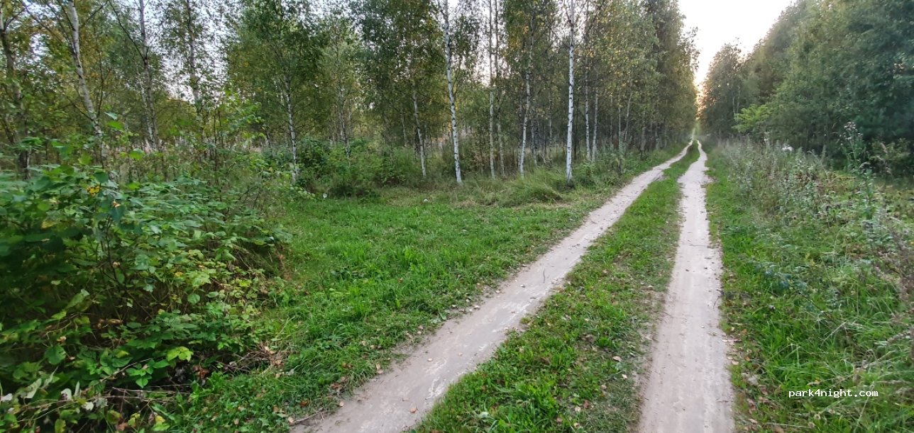 (172062) Vladenino, Tver Oblast - Unnamed Road — foto 3