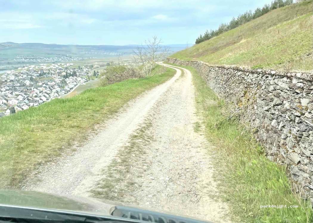 (54346) Mehring - Unnamed Road — foto 2