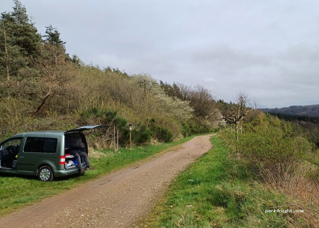 (54346) Mehring - Unnamed Road — foto 4
