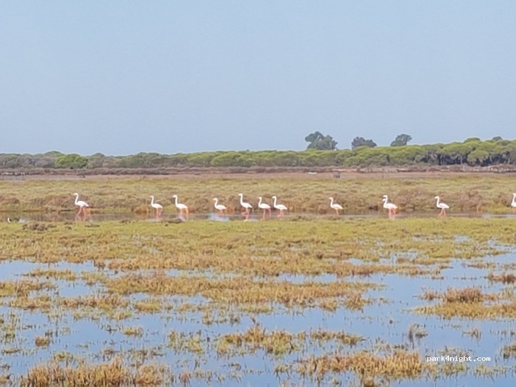 (11549) Sanlúcar de Barrameda - — foto