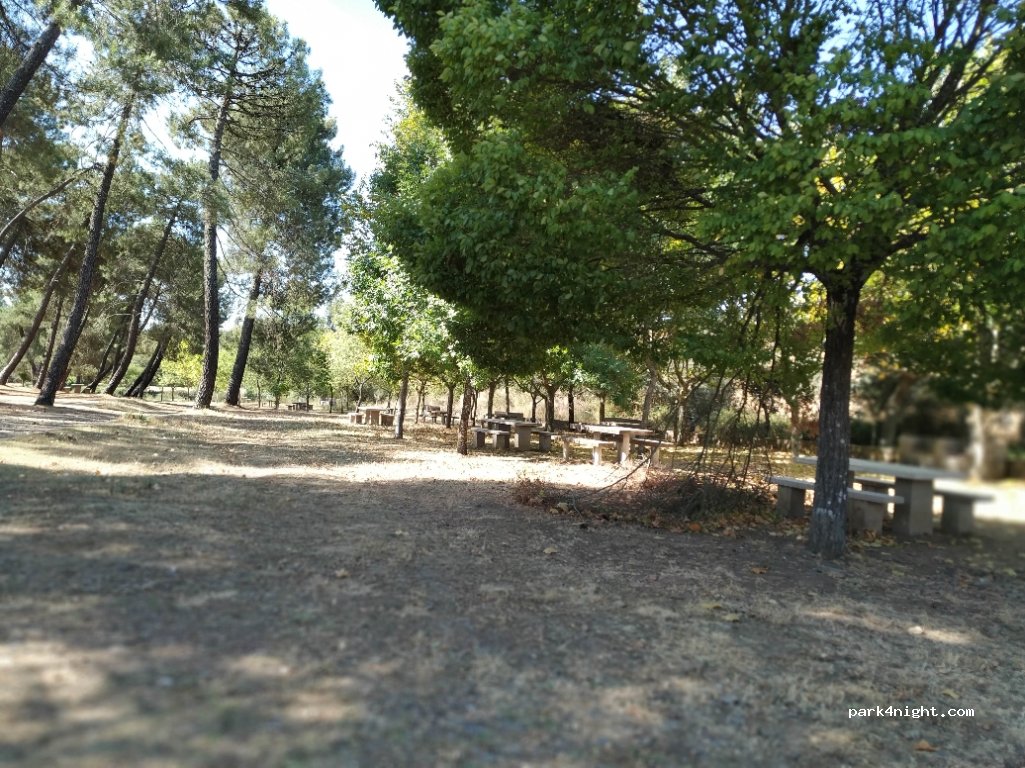 (10890) Valverde del Fresno - EX-205 — foto 2