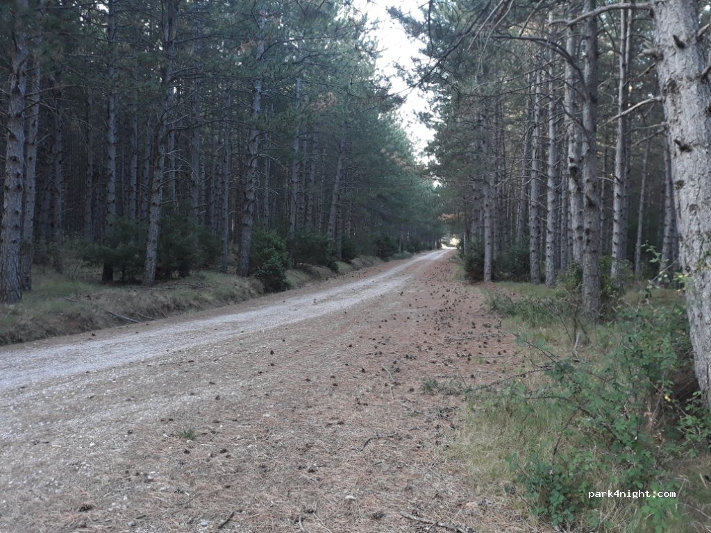(50682) Sigüés - Unnamed Road — foto