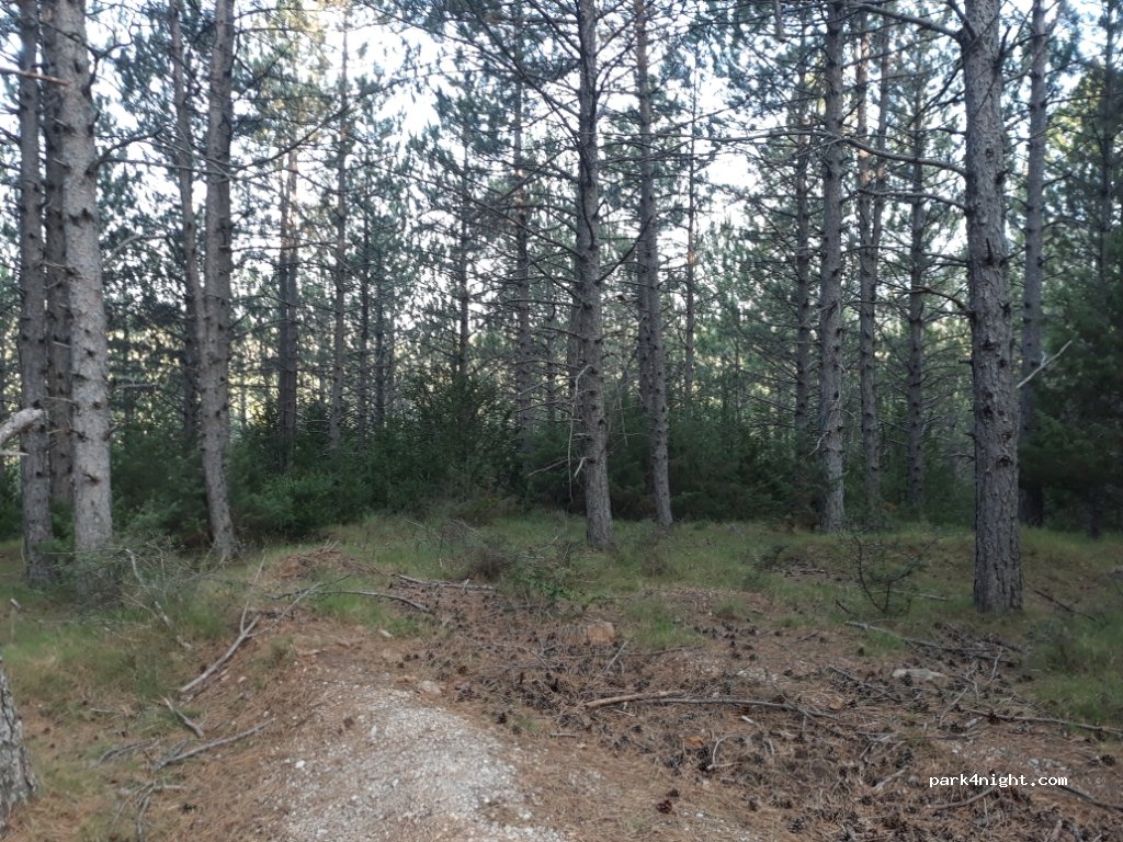 (50682) Sigüés - Unnamed Road — foto 2