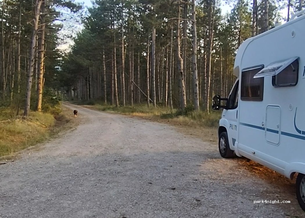 (50682) Sigüés - Unnamed Road — foto 4
