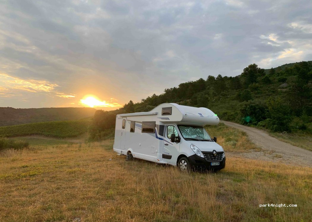 (11300) Magrie - D121 — foto
