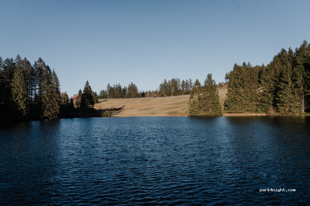 Wildwood Camping Harz — foto 4