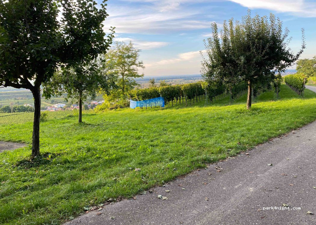 (79361) Sasbach am Kaiserstuhl - Unnamed Road — foto 3