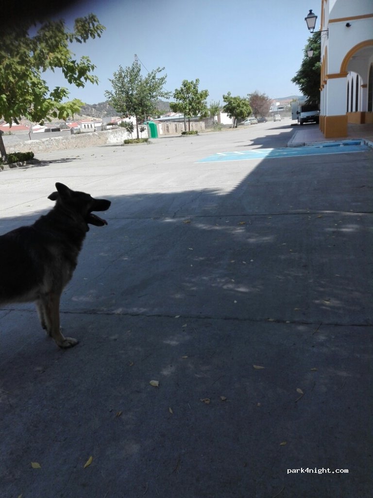 (06370) Burguillos del Cerro - 11 Avenida Custodio Ruiz — foto