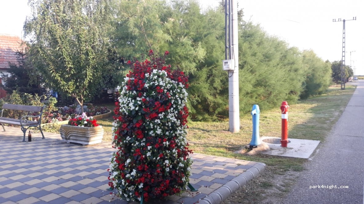 (3598) Nagycsécs - 42 Kossuth út — foto 2