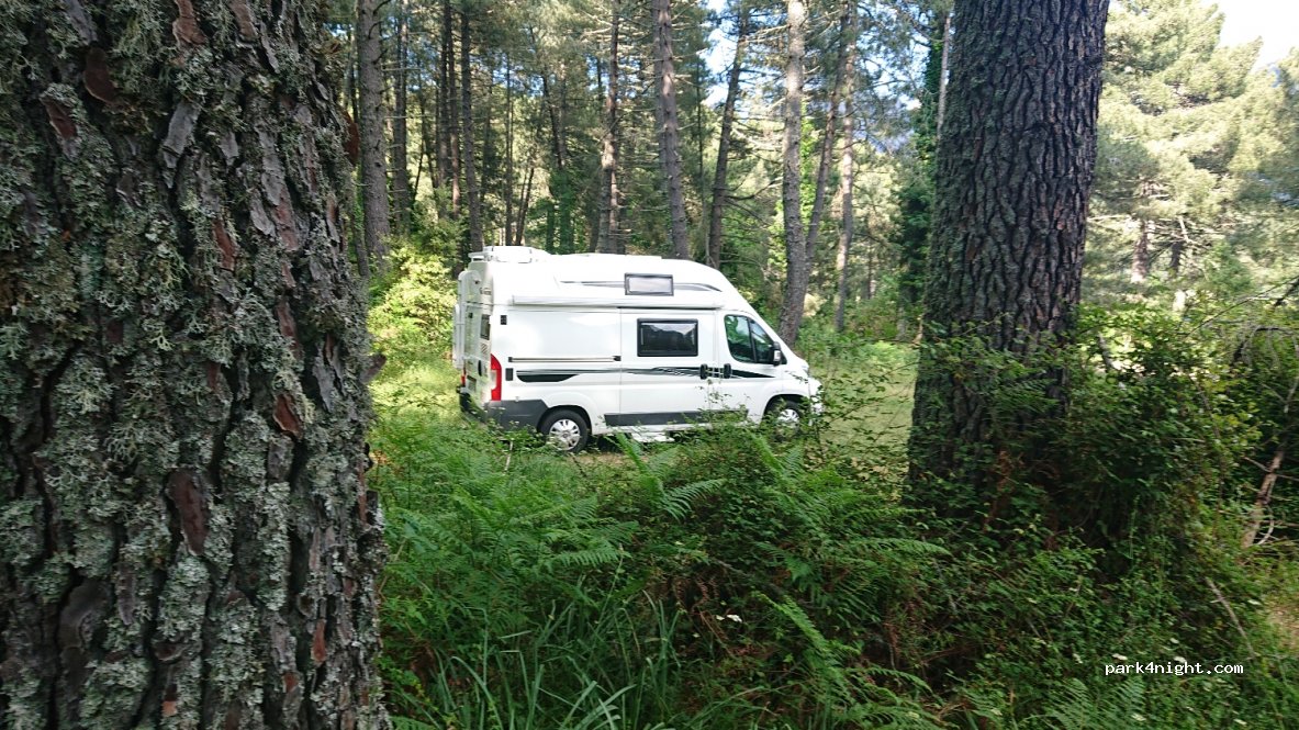 (20124) Zonza - D268 — foto 2