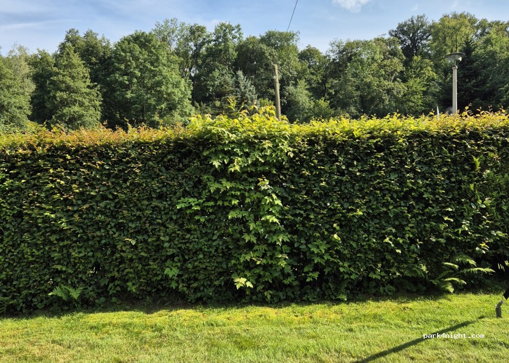 Camping Colditz — foto 4