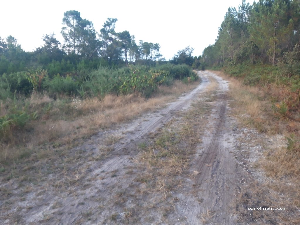 (33340) Queyrac - Route du Marquis — foto 3