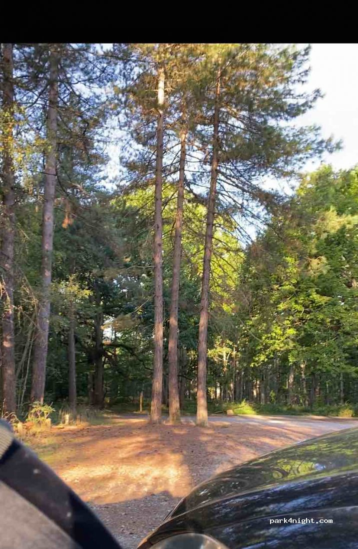 (78490) Montfort-l'Amaury - Chemin de la Jonchée, Route Robert — foto 2