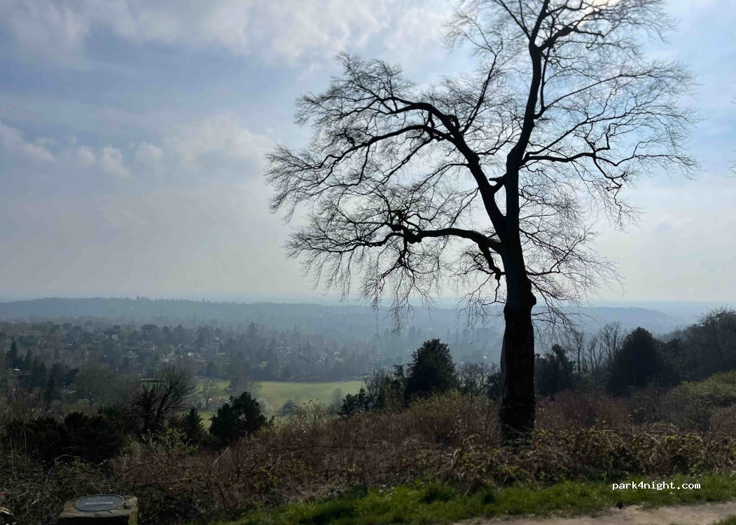 (RH2 0HX) Reigate - 59 Wray Lane — foto 4