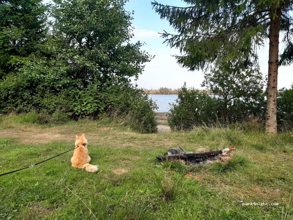 (668 94) Bäckefors - Unnamed Road — foto 4