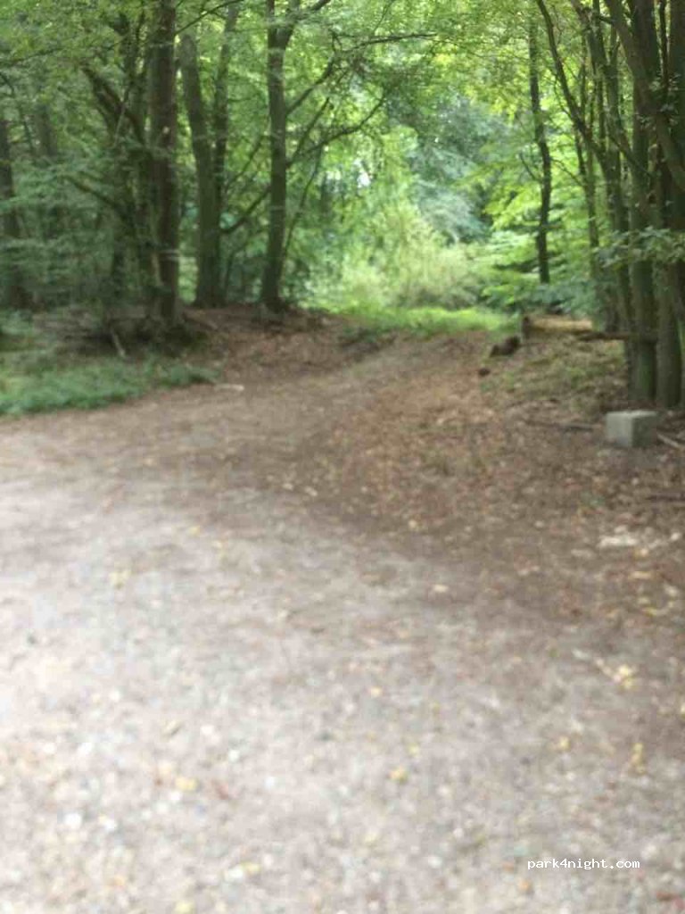 (23623) Ahrensbök - 6 Hohenhorst-Nord — foto