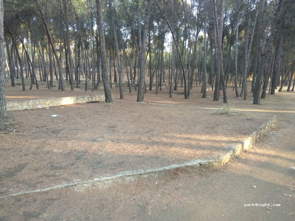 () Purullena - Unnamed Road — foto