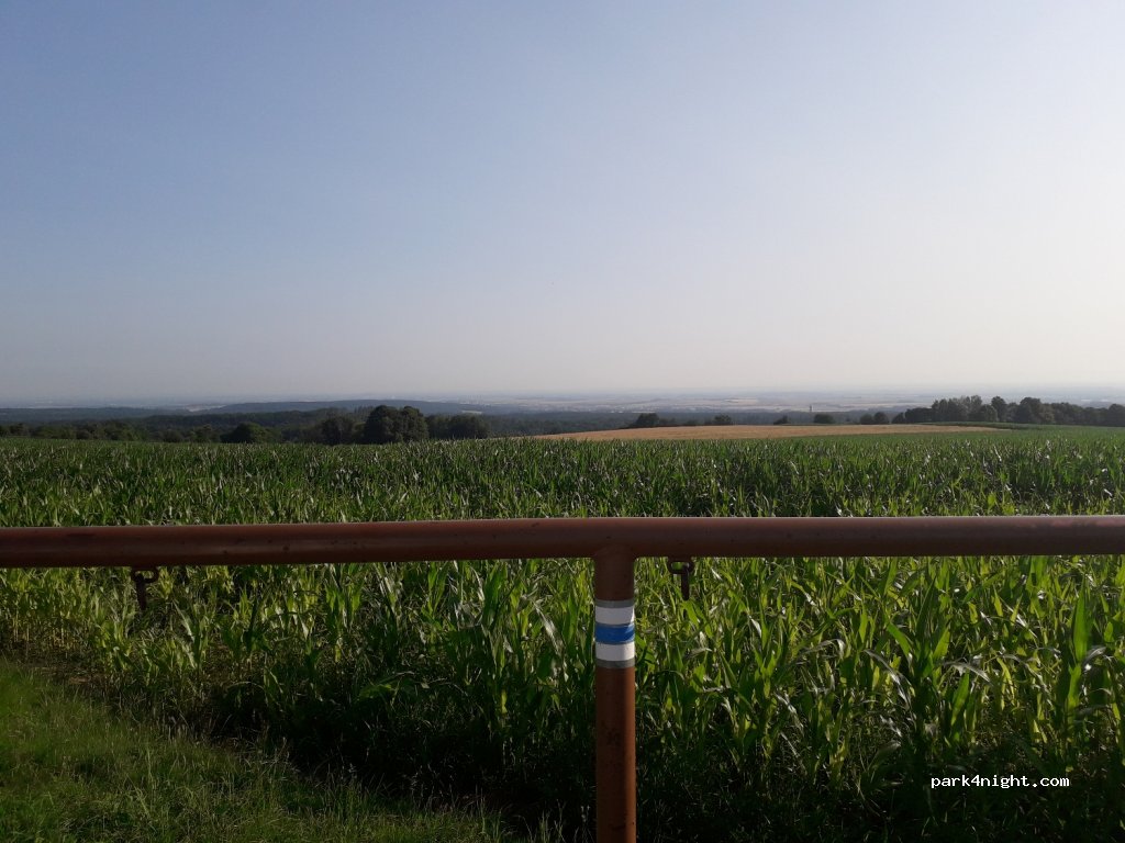 (538 25) České Lhotice - 33763 — foto 3