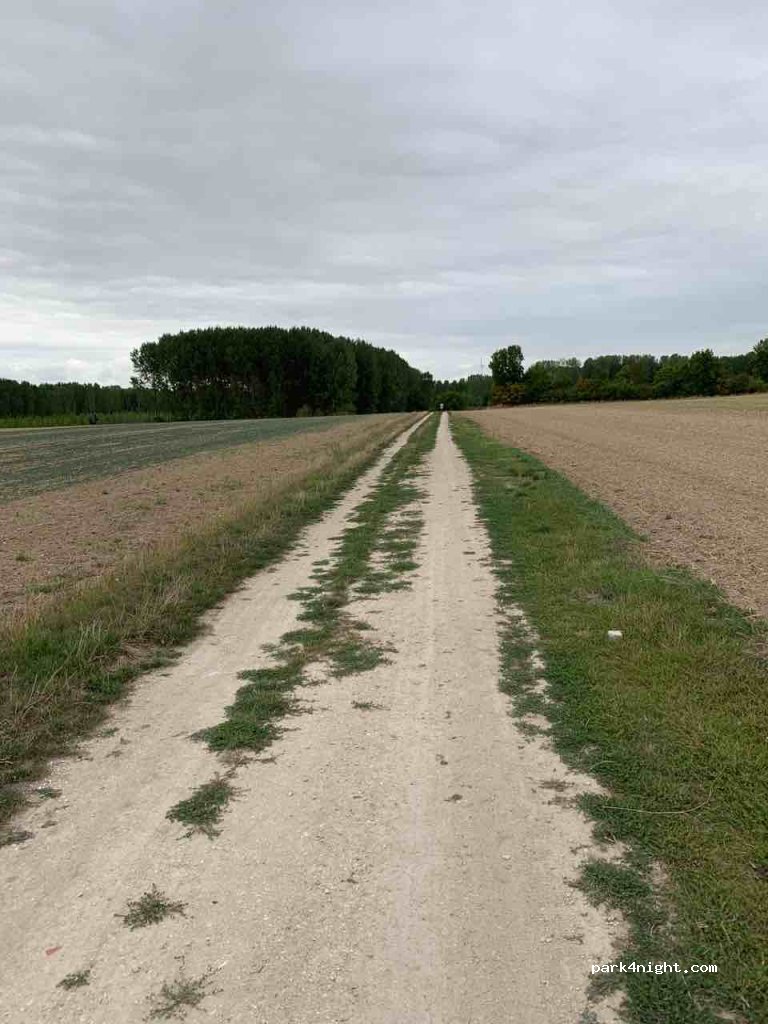 (10700) Saint-Nabord-sur-Aube - Rue Principale — foto