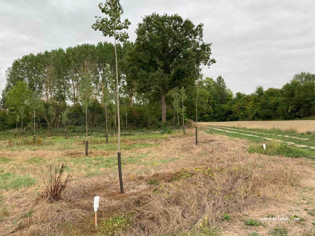 (10700) Saint-Nabord-sur-Aube - Rue Principale — foto 2