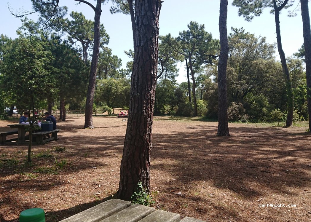 (85550) La Barre-de-Monts - D38, Route de la Grande Côte — foto