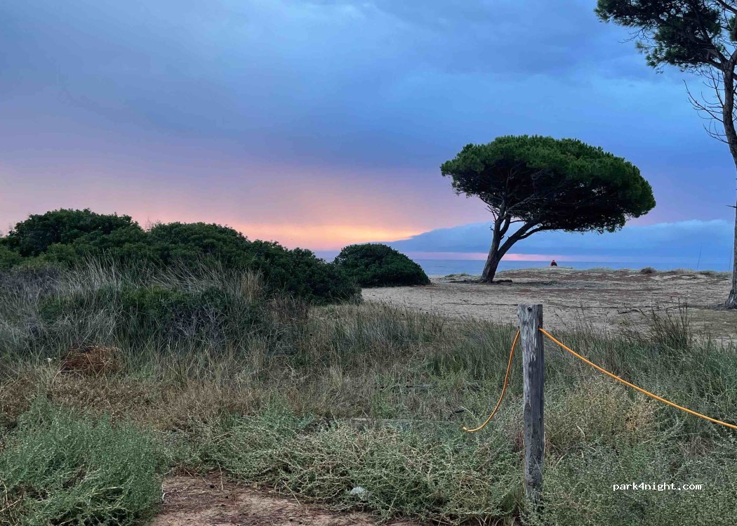 (08020) Budoni - Unnamed Road — foto 5