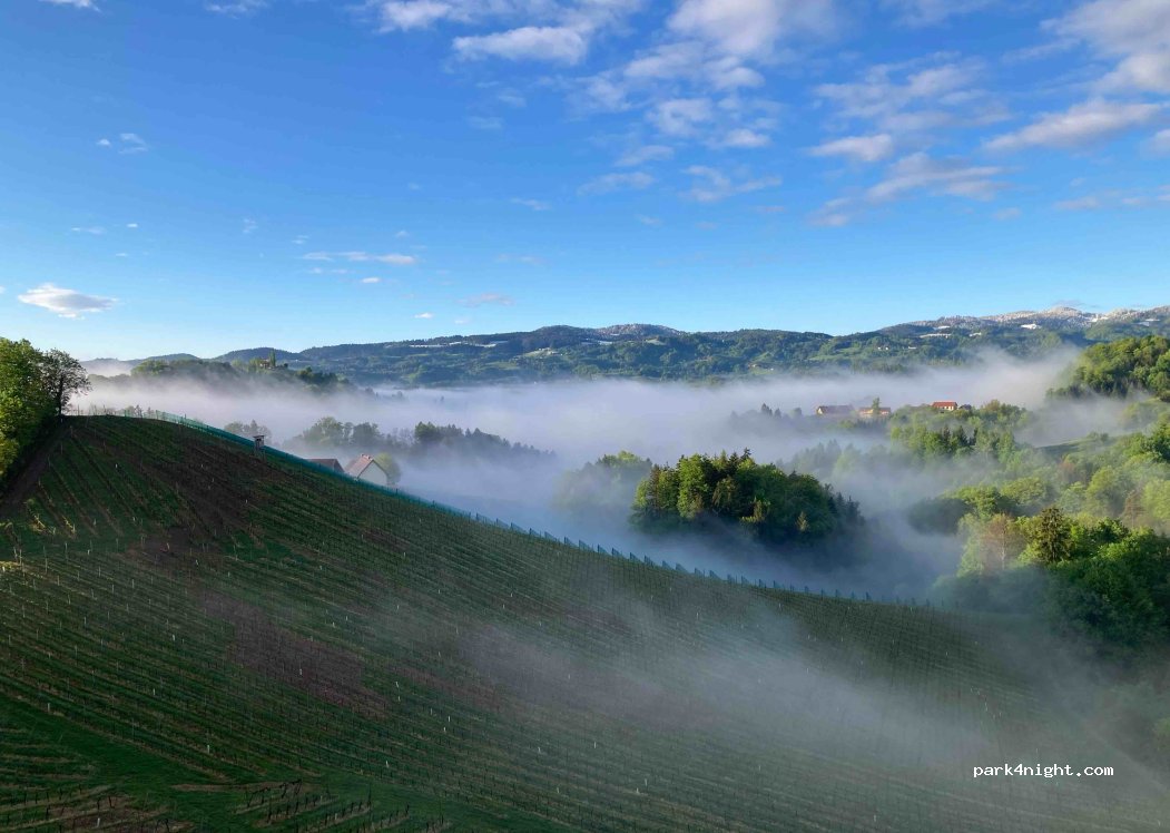 Weingut und Buschenschank Franz Legat — foto 3