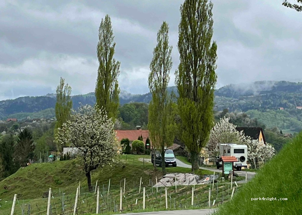 Weingut und Buschenschank Franz Legat — foto 5