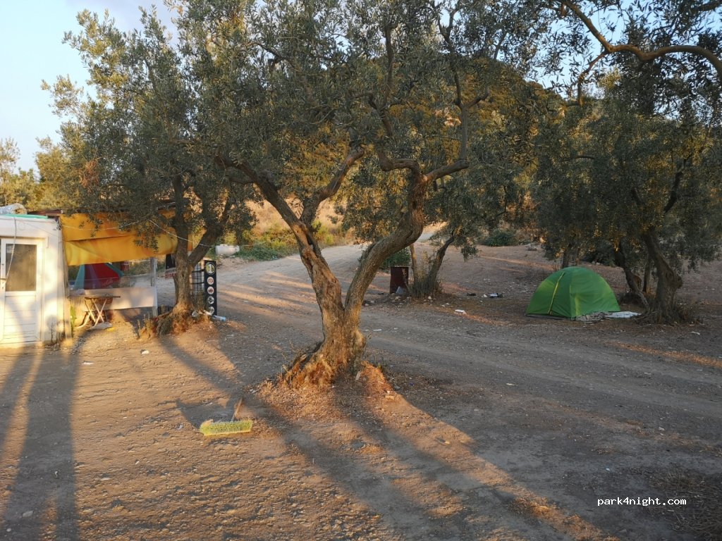 (16960)  - Gemlik Mudanya Yolu — foto 2