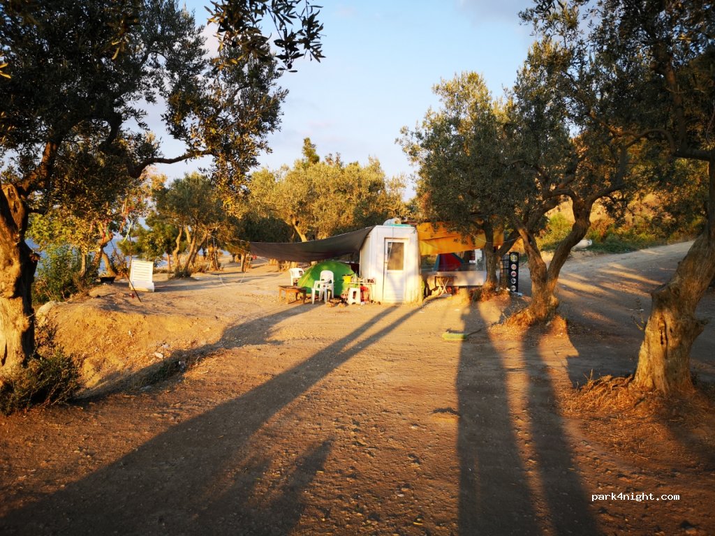 (16960)  - Gemlik Mudanya Yolu — foto 3
