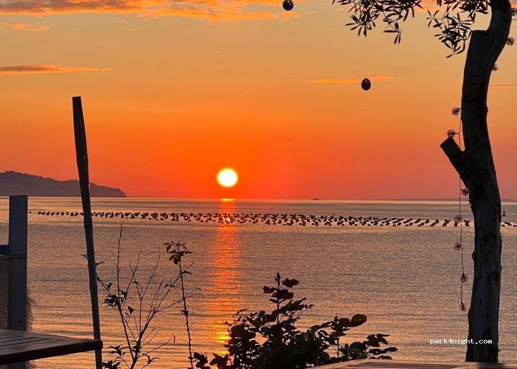 (16960)  - Gemlik Mudanya Yolu — foto 4