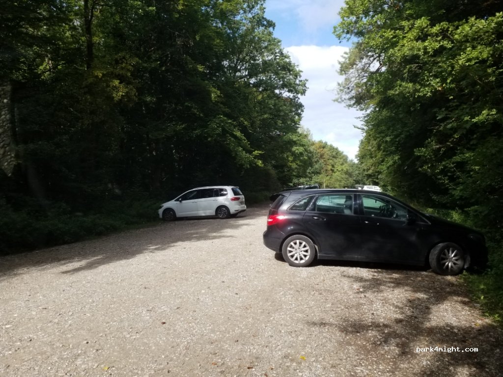 (81549) Perlacher Forst - Giesinger Geräumt — foto