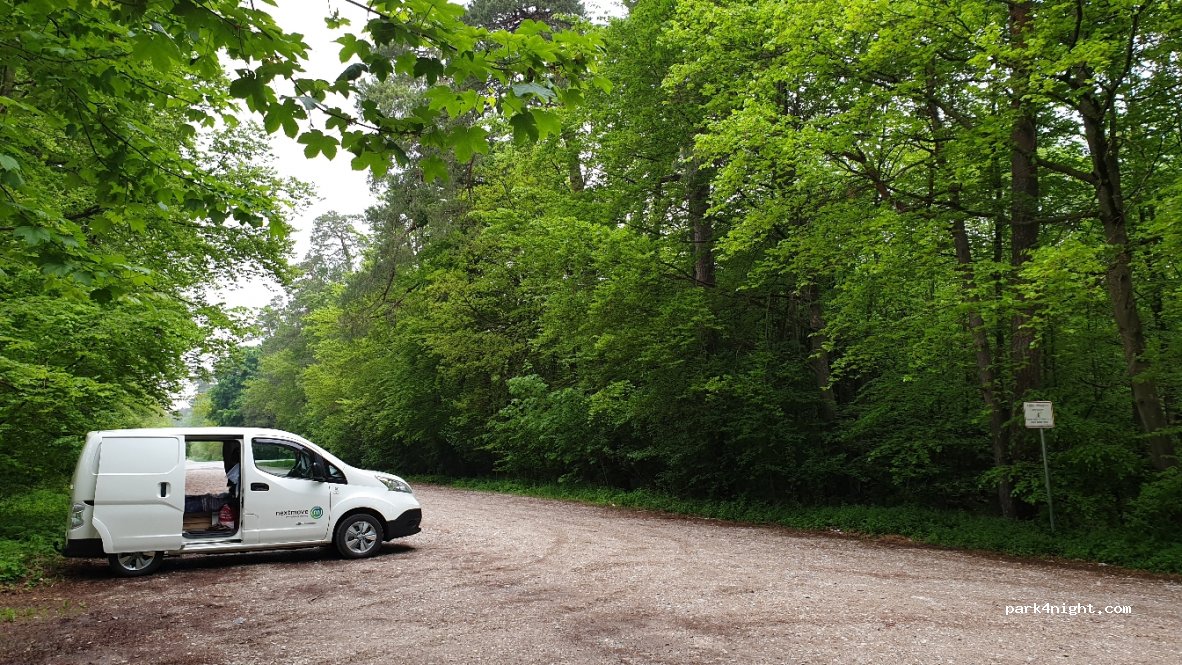 (81549) Perlacher Forst - Giesinger Geräumt — foto 2
