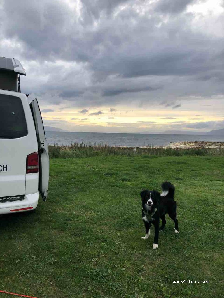Hauganfjæra Camping — foto