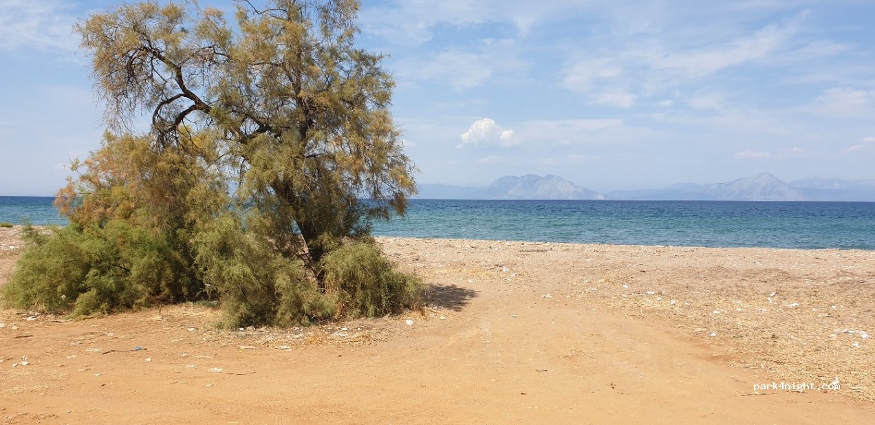 (252 00) Dimi - Unnamed Road — foto