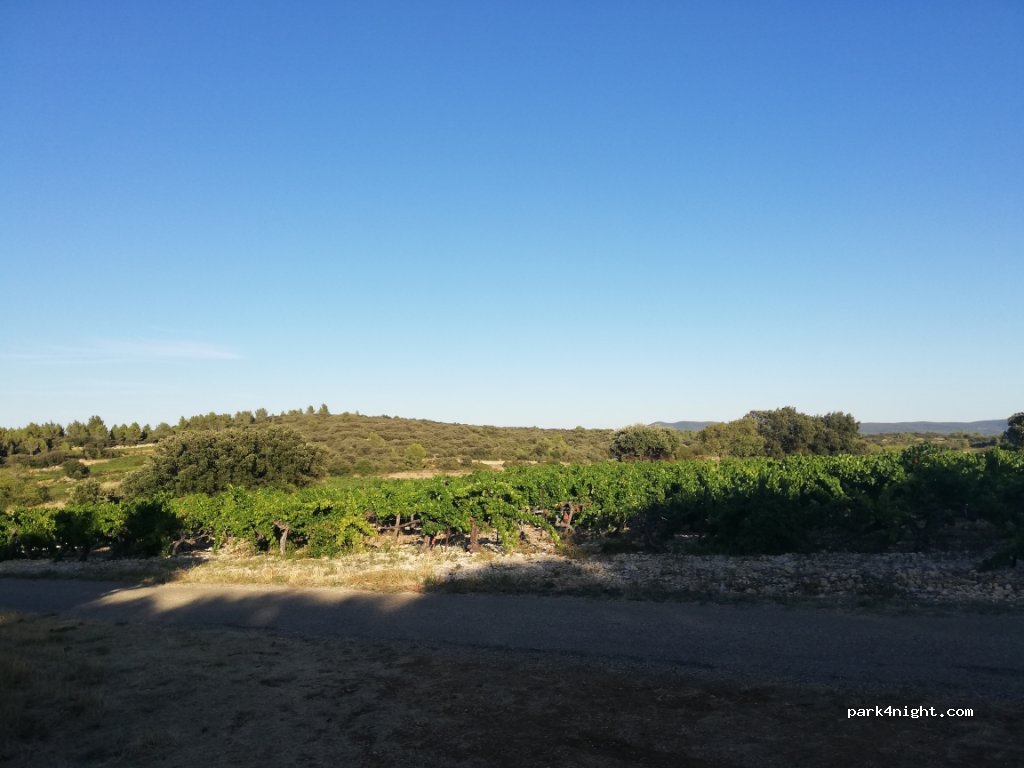 (34150) Montpeyroux - 2 Route Lagamas — foto 3
