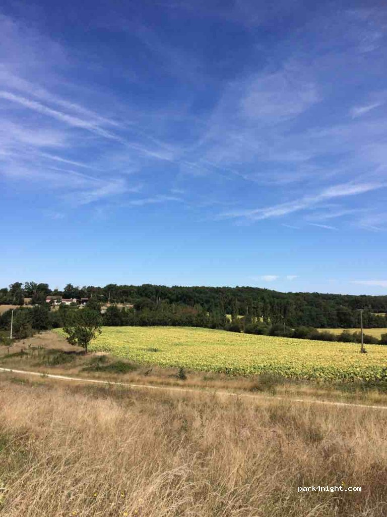 (31370) Rieumes - 200 Chemin de Cristaud — foto 2