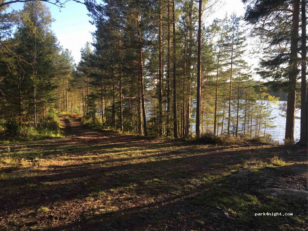 (662 91)  - Unnamed Road — foto 2
